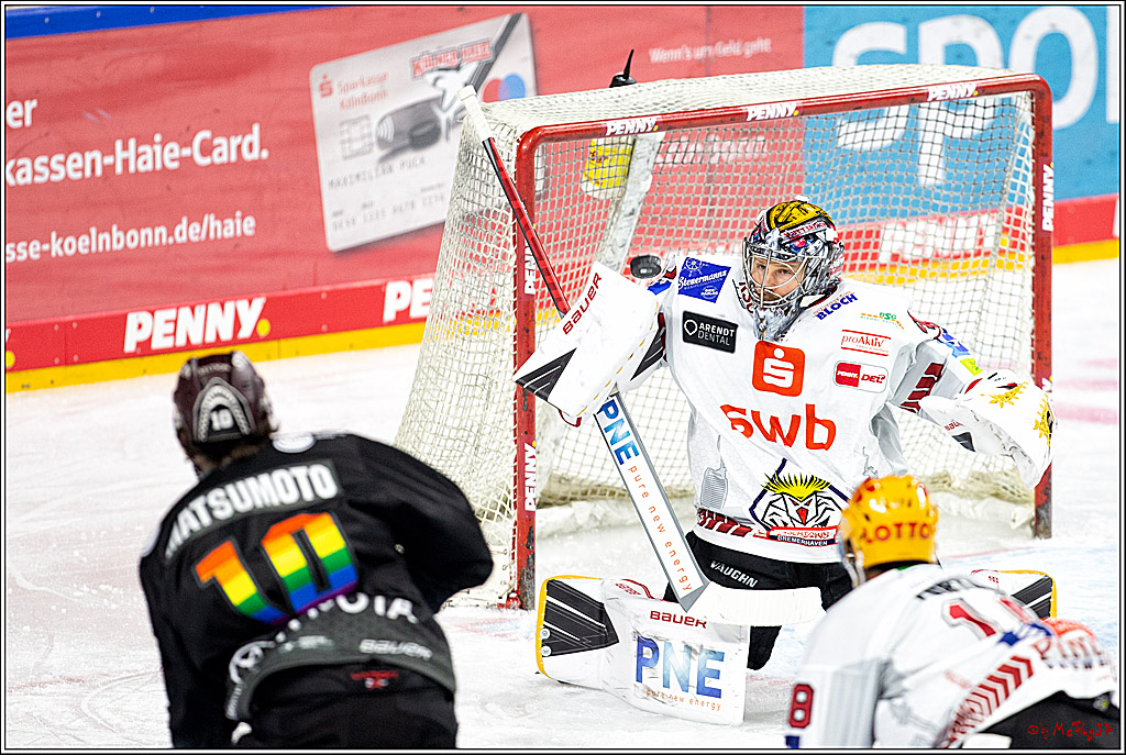 PENNY DEL;  Koelner Haie - Fischtown Pinguins Bremerhaven; Koeln, 17.01.2021